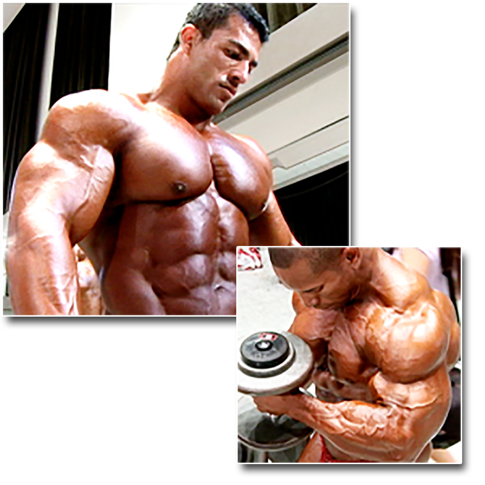 Collection 2008 IFBB/PBW Pro Bodybuilding Championships Men’s Pump Room – 1695 photos